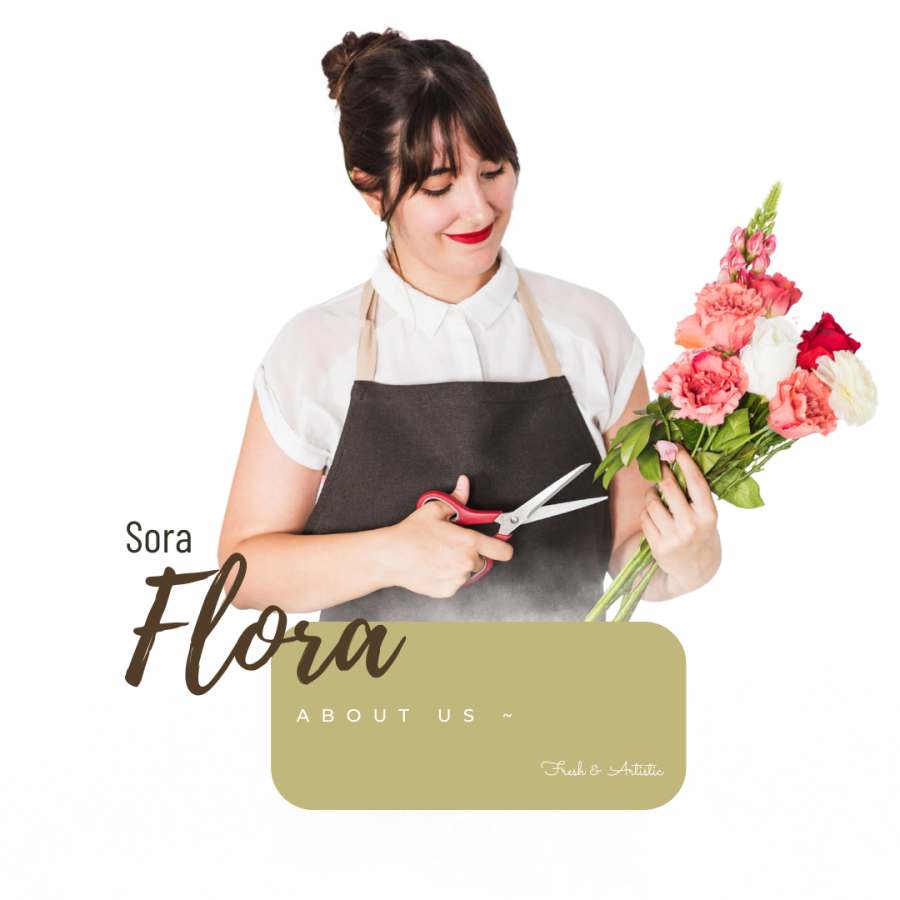 Tambahkan judul (17)