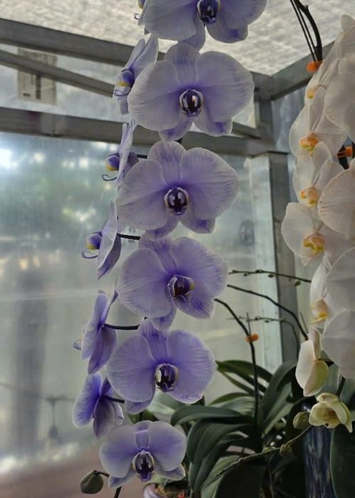 WhatsApp Image 2025-05-06 at 12.36.45 (3) WhatsApp Image 2025-05-06 at 12.36.45 (3)