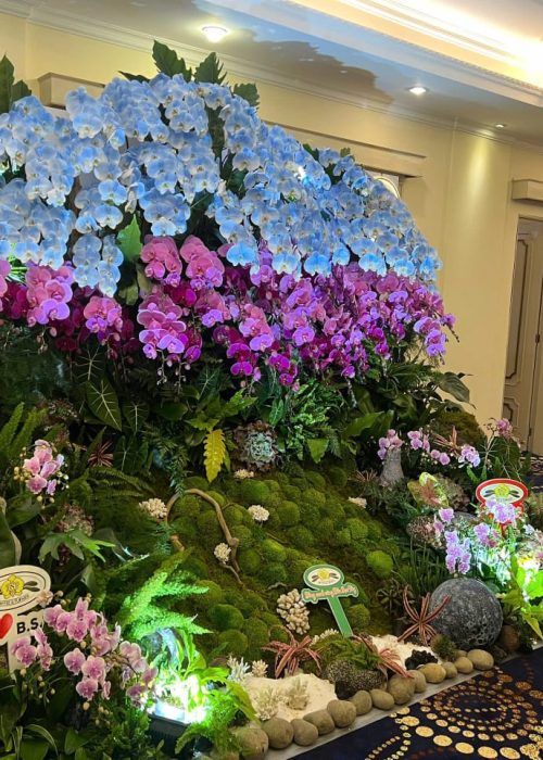 WhatsApp Image 2025-05-06 at 12.36.46 (3) WhatsApp Image 2025-05-06 at 12.36.46 (3)