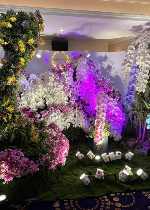 WhatsApp Image 2025-05-06 at 12.36.46 (4) WhatsApp Image 2025-05-06 at 12.36.46 (4)