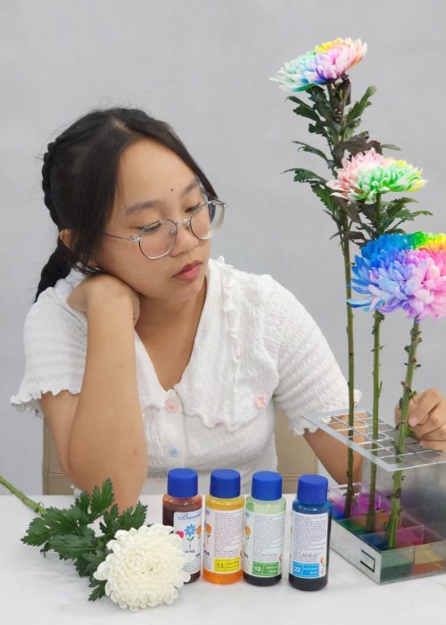 WhatsApp Image 2025-05-06 at 12.37.10 WhatsApp Image 2025-05-06 at 12.37.10