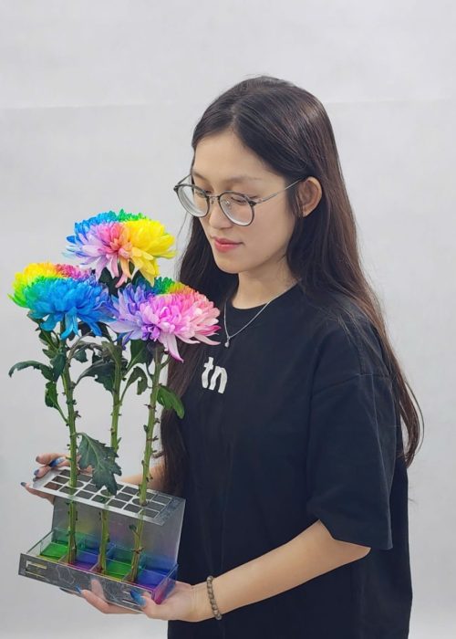 WhatsApp Image 2025-05-06 at 12.37.54 (1) WhatsApp Image 2025-05-06 at 12.37.54 (1)