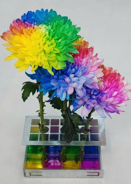 WhatsApp Image 2025-05-06 at 12.37.54 (2) WhatsApp Image 2025-05-06 at 12.37.54 (2)